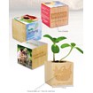 Cube de plantation en bois mini standard
