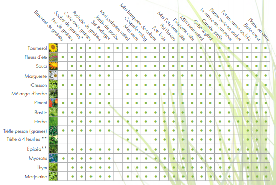 Cube de plantation en bois mini standard -