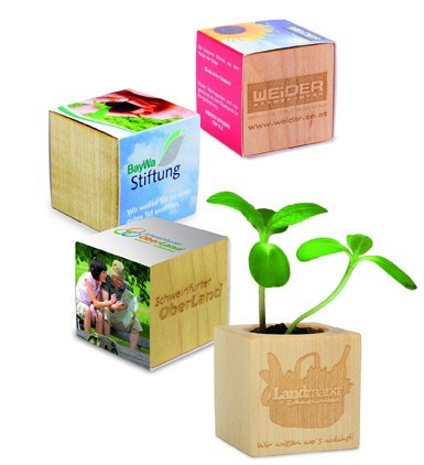 Kit de Plantation Cube En Bois d'érable