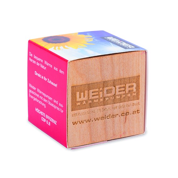 Kit de Plantation Cube En Bois d'érable -