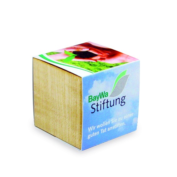 Kit de Plantation Cube En Bois d'érable -