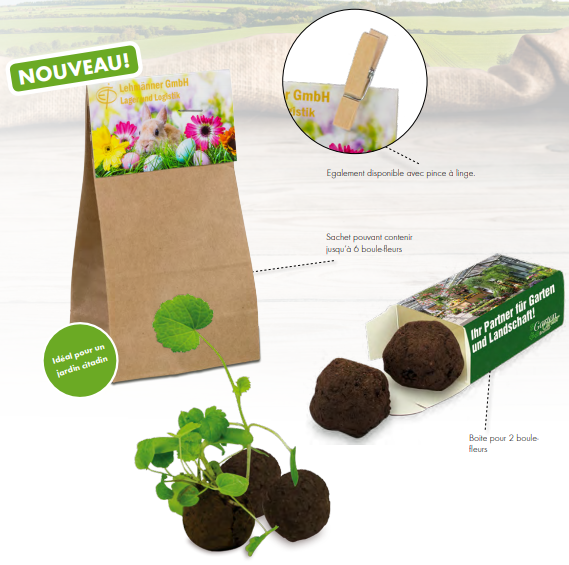 Boule fleur à planter - Made in Europe