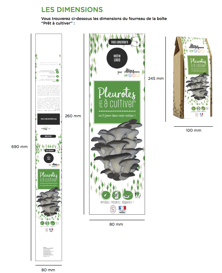 Boîte à Champignon "A faire soi-même" -