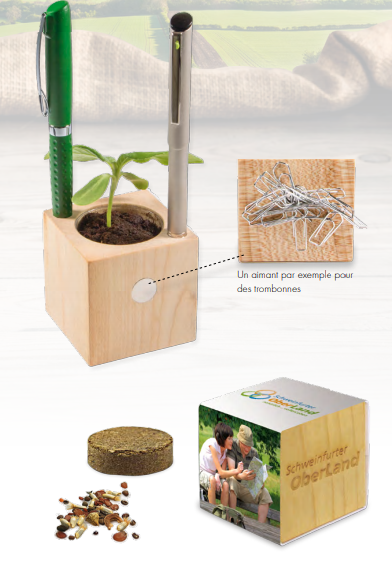 Cube bois de bureau - Emotion Factory