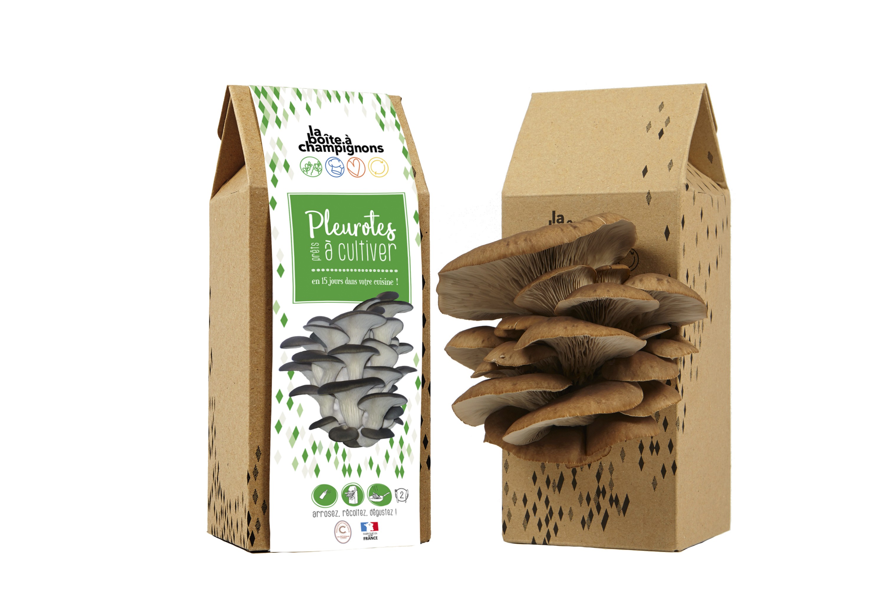 Boîte à Champignon "Prête à cultiver"