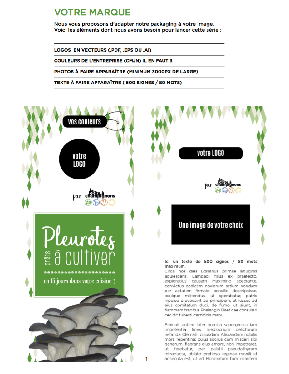 Boîte à Champignon "Prête à cultiver" -