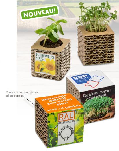 Cube de plantation en carton ondulé