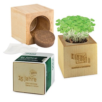 Kit de plantation cube en bois devenant un pot à crayons