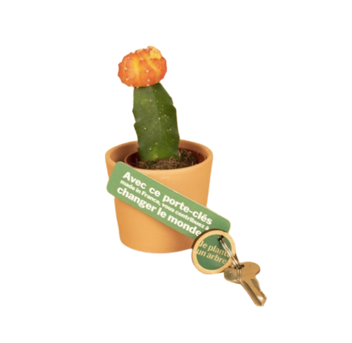 Porte-clés en bois made in France - 2