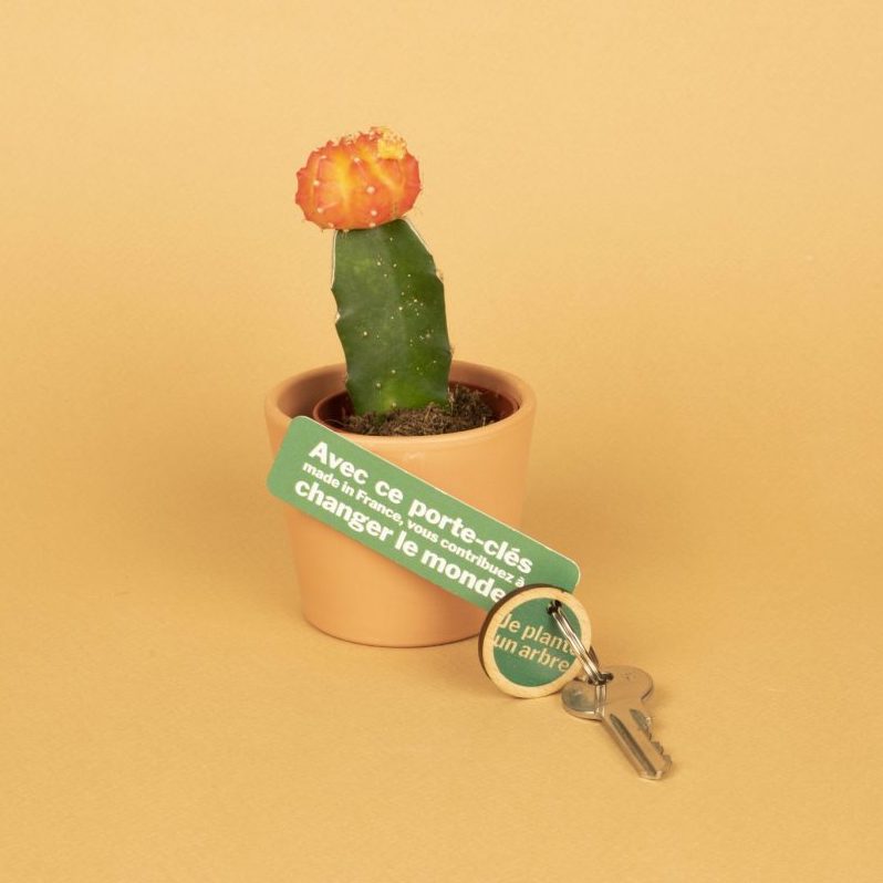 Porte-clés en bois made in France - 4
