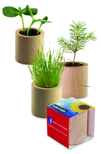 Kit de Plantation En Bois Rond