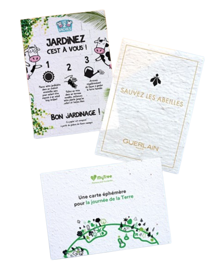 Flyer ensemencé à planter - format A6 - 2