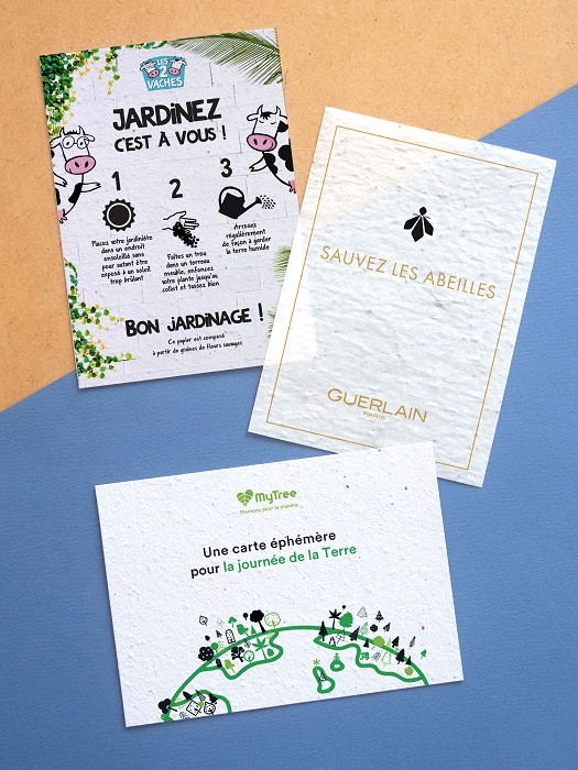 Flyer ensemencé à planter - format A6 - 5