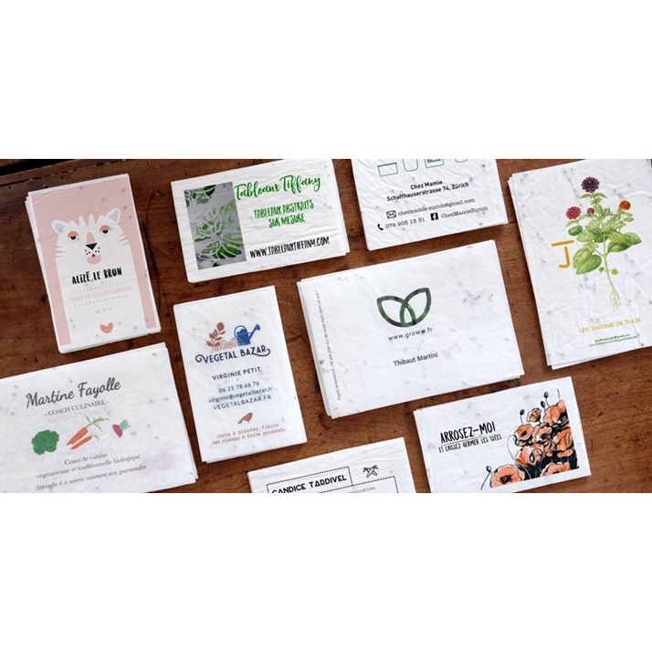 Cartes De Visite En Papier Ensemence A Planter Dream Act Pro