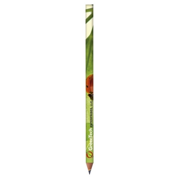 BIC Evolution Classic Cut Ecolutions crayon - Made in France