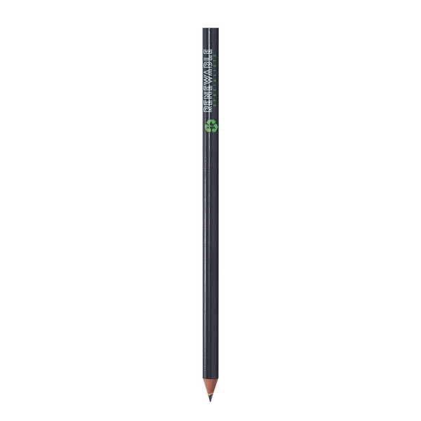 BIC  Evolution Classic Cut Ecolutions crayon -