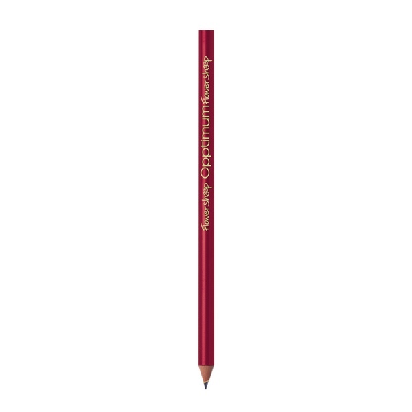 BIC  Evolution Classic Cut Ecolutions crayon -