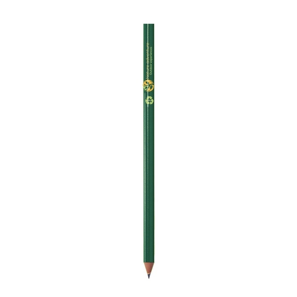 BIC  Evolution Classic Cut Ecolutions crayon -