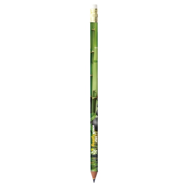 BIC Evolution Digital Ecolutions crayon