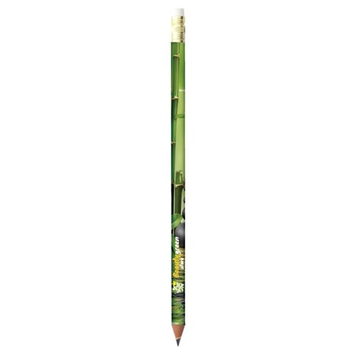 BIC Evolution Digital Ecolutions crayon