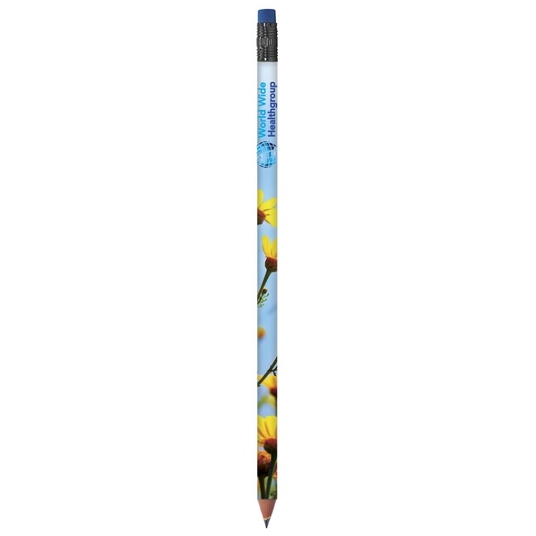 BIC Colour Connection Ecolutions crayon -