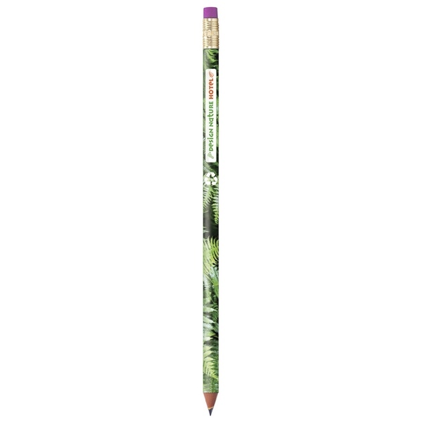 BIC Colour Connection Ecolutions crayon -