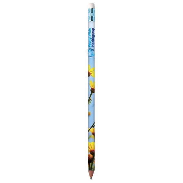 BIC Colour Connection Ecolutions crayon -