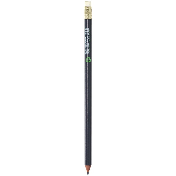 BIC Evolution Colour Ecolutions crayon -