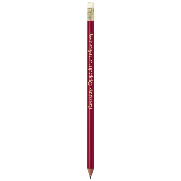 BIC Evolution Colour Ecolutions crayon -