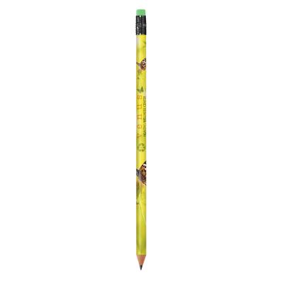 BIC  Evolution Classic Ecolutions crayon -
