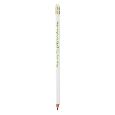BIC  Evolution Classic Ecolutions crayon -