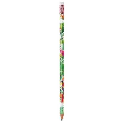 BIC  Evolution Classic Ecolutions crayon
