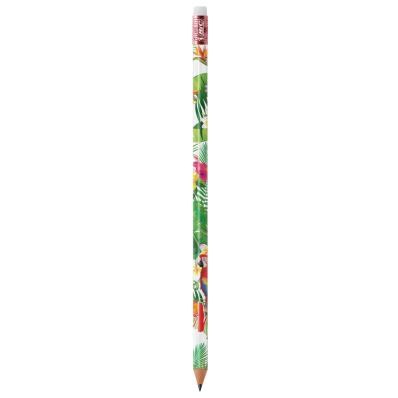 BIC  Evolution Classic Ecolutions crayon