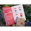 Kit de jardinage personnalisable - jardin fleuri - 3