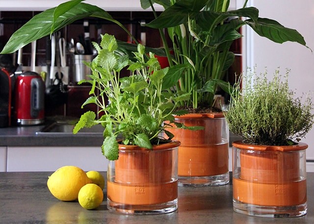 Pot en céramique - 2