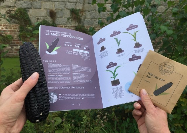 Kit de jardinage - Mes Légumes Insolites - 3