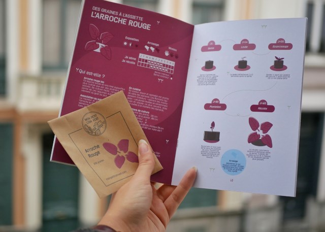 Kit de jardinage bio - Mes Légumes Oubliés - 4