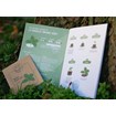 Kit de jardinage - Mes Petits Aromates - 3
