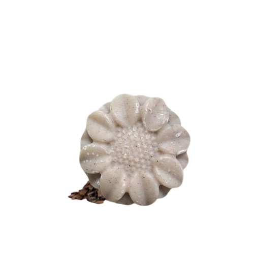 Shampoing solide biologique - Lêéquilibrant