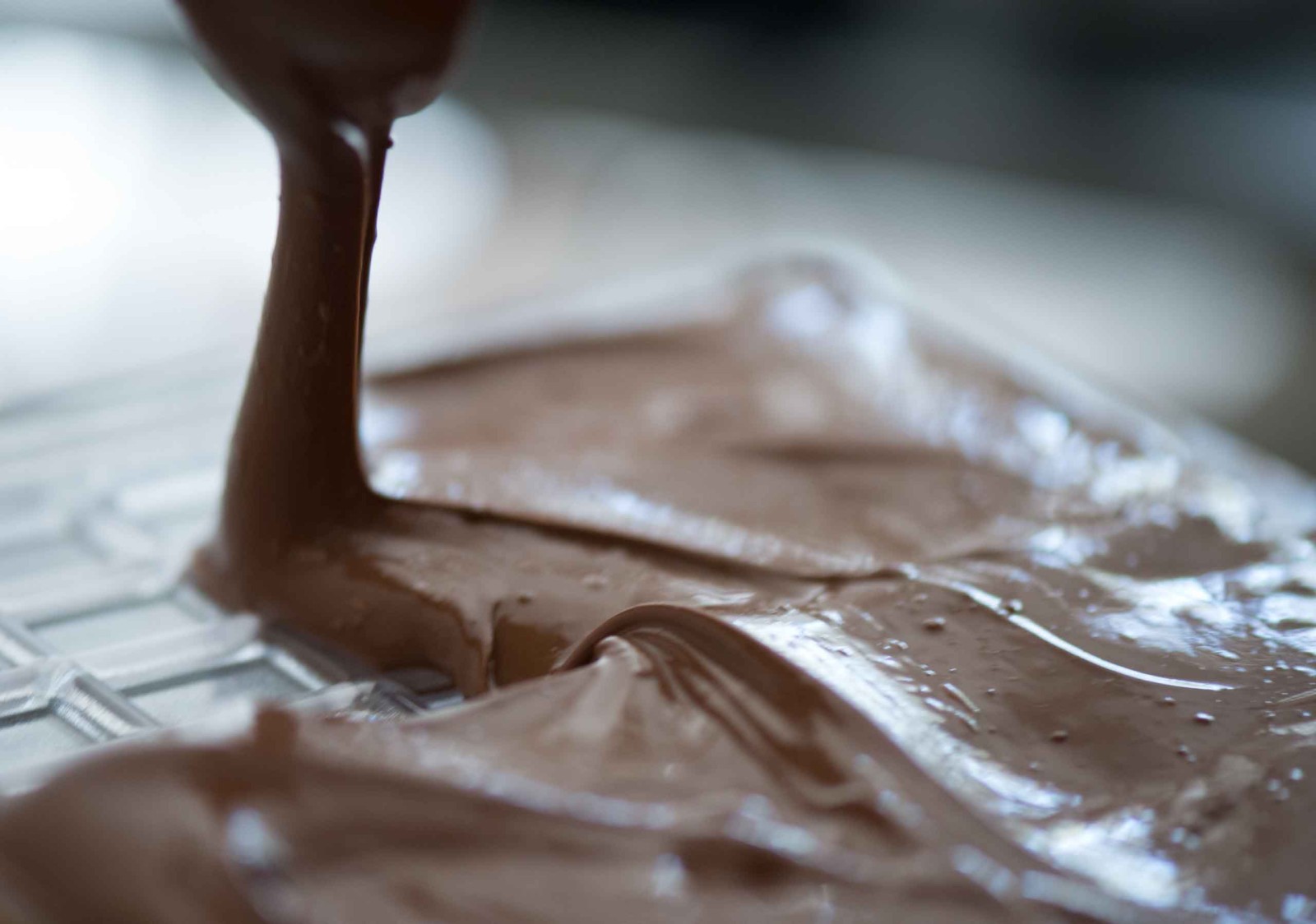 Tablette de chocolat praliné Sacrée courge bio - 3