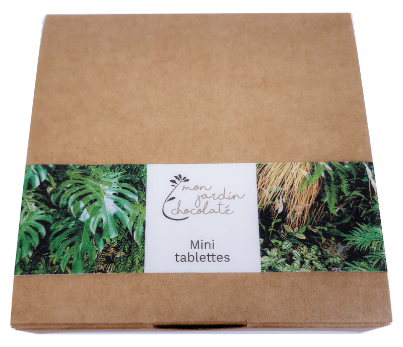 Boîte de 20 mini tablettes issu de l'agriculture biologique - 2
