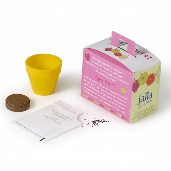 Kit de plantation Mallette de jardinage avec pot et graines - 2