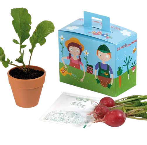 Kit de plantation Mallette de jardinage avec pot et graines