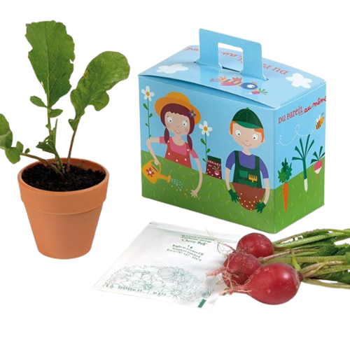 Kit de plantation Mallette de jardinage avec pot et graines
