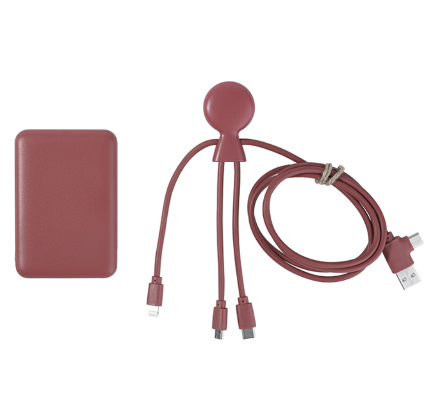 Batterie externe avec câble en plastique recyclé - Mr Bio Pack Epsilon  - 3