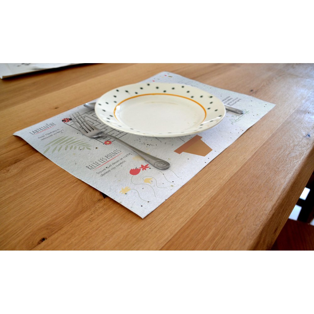 Set de table en papier à graines - 80 grammes - 3
