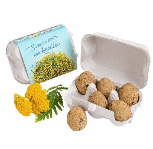 Boite à oeufs seed bomb