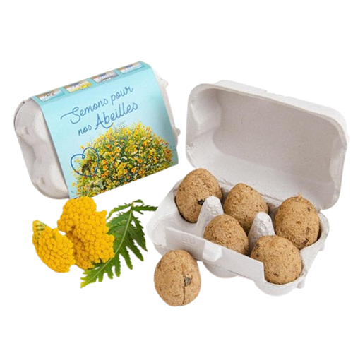 Boite à oeufs seed bomb