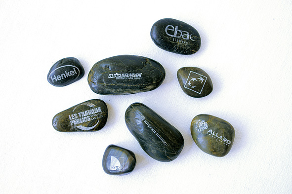 Bonsaï Prestige - 2