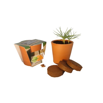 Kit de plantation Duo 2 pots terre cuite 6 cm
